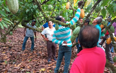 Guía. Anecacao organiza seminarios, programas de formación y charlas, dirigidas a productores con el fin de reinvertir los ingresos extras que reciben en este contexto
