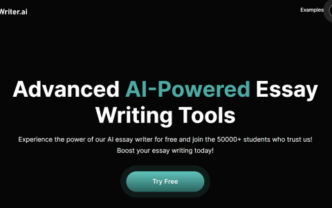 MyEssayWriter.ai, crear ensayos personalizados que se ajusten a las necesidades de cada usuario
