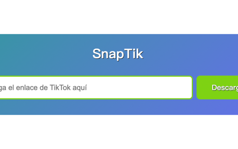 . La experiencia en el sitio web de SnapTik es bastante fluida