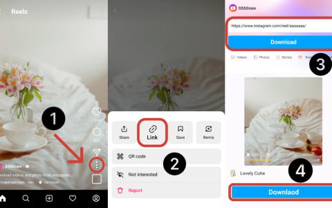Proceso de descargar videos de Instagram usando SSSGram