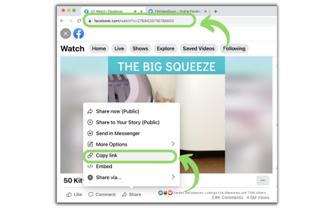 Pasos para descargar videos de Facebook