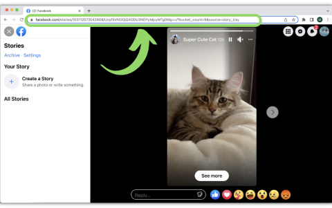 Guía paso a paso sobre cómo descargar historias de Facebook a la computadora
