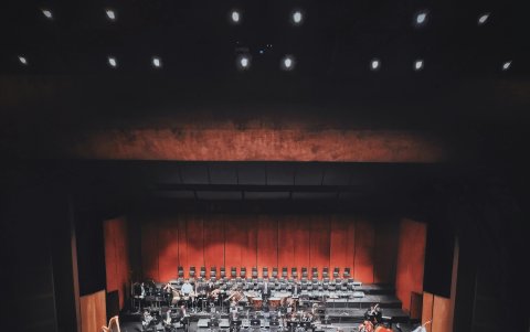 Los niños tendrán acceso a participar de la presentación e inclusive a dirigir a la orquesta.