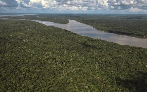 Una vista aérea de una zona boscosa en Brasil.