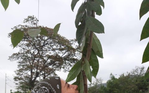 Es apasionada por sembrar árboles nativos