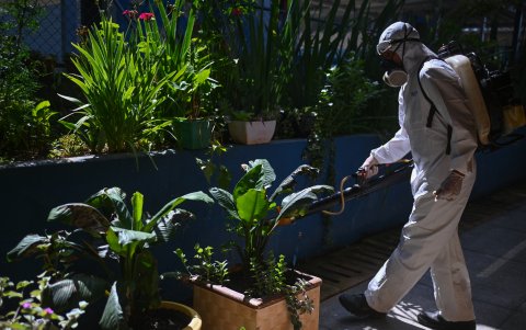 Brasil. Un trabajador que fumiga las plantas al interior de una escuela para prevenir la proliferación del mosquito