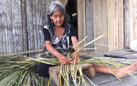 Las mujeres chachis van a la selva para recoger lo que les da la madre naturaleza y con la materia prima elaboran las artesanías.