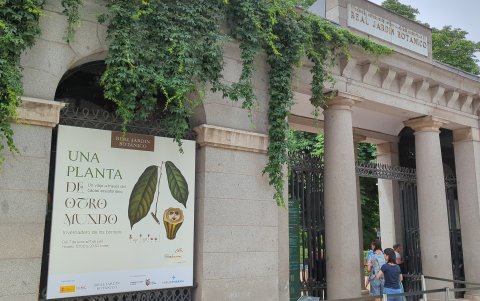 La muestra en España durará un mes.