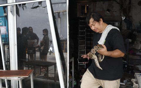 Un propietario tailandés lleva una serpiente Ball Python que sobrevivió al incendio en una tienda de mascotas y animales exóticos en el mercado Chatuchak en Bangkok.