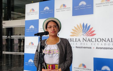 Desde Pachakutik, la asambleísta electa Mariana Yumbay cuestiona que las mayorías de las últimas Legislaturas no se han hecho en torno a una agenda.