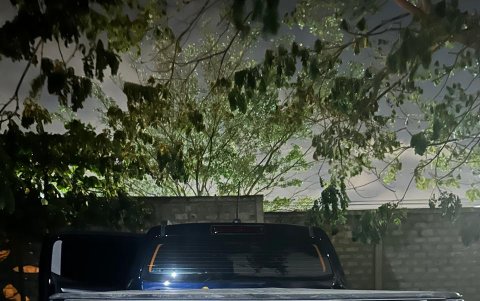 La droga luego iba a ser enviada en camionetas.