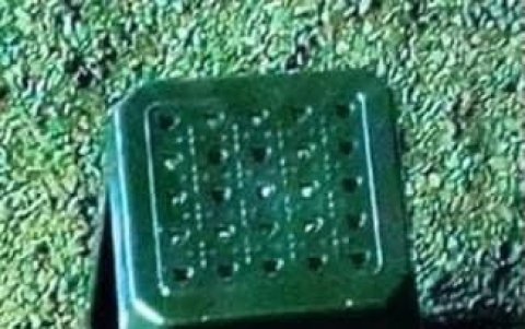 El artefacto explosivo fue hallado entre la multitud.