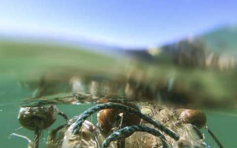 La combinación de satélites de observación de la Tierra,  y avanzados algoritmos ha permitido a un equipo internacional de científicos trazar el mapa de contaminación marina.