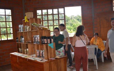 Hay productos para la belleza, medicinal y golosinas elaboradas con guayusa y cacao.