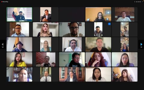 El Pleno de la Asamblea Nacional sesionó de forma virtual.