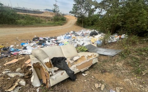 Desde muebles hasta animales muertos se encuentran en el sitio