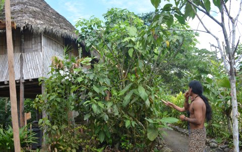 Los miembros de la familia cuidan uno de los espacios en el sitio.