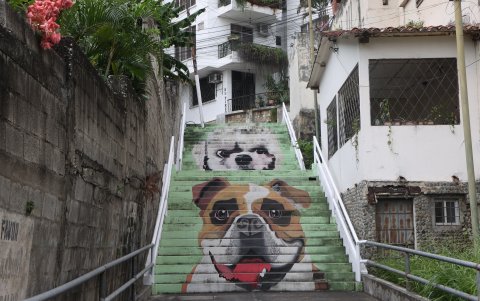 Arreglos. Una fundación realizó la pintura de unas escalinatas. Procuran mantenerla cuidada.