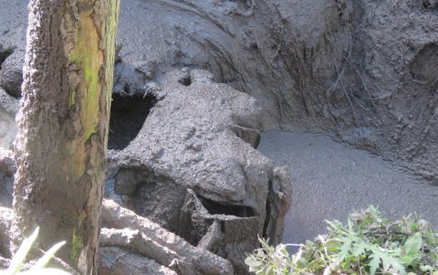 Personal del GOE, bomberos Guamote, policía, comuneros intentan rescatar un vehículo que fue arrastrado por la corriente con una familia dentro.