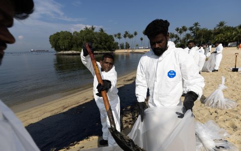 Operarios limpian los restos de combustible fuel llegado a la costa de Singapur debido a un derrame tras el choque de dos barcos.