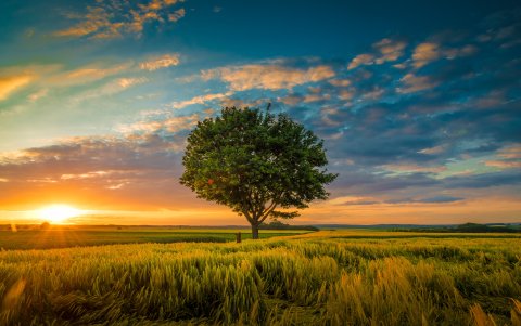 Si te muestras más comprensivo, tus relaciones sentimentales mejorarán considerablemente.