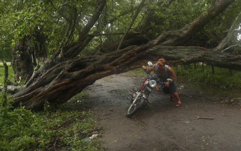 Un hombre cruza debajo de un árbol caído debido a las fuertes lluvias este martes 18 de junio en Ahuachapán (El Salvador).