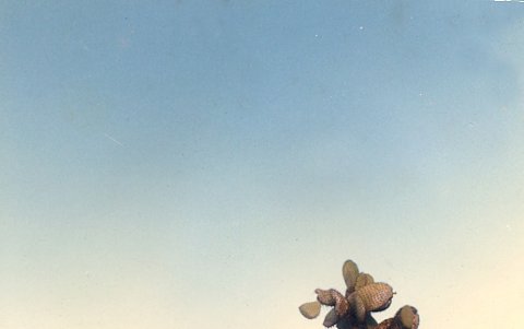 David Soul con Fichamba.