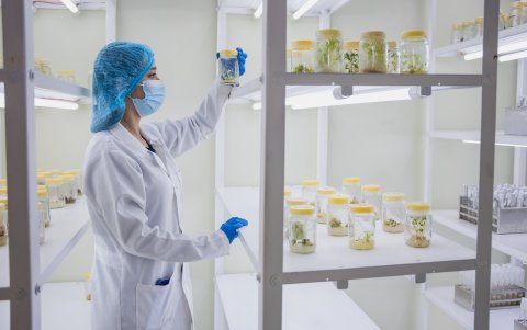 Loja. La investigación de la UTPL incluye el análisis en laboratorio.