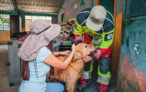 Voluntarios del Proyecto Ánimal, desde Pastaza, se encargan de visitar a las mascotas en situación vulnerable.