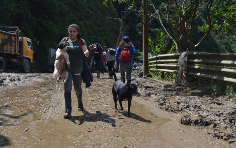 Voluntarios del Proyecto Ánimal de Pastaza recorren identificando a las mascotas abandonadas y en vulnerabilidad.