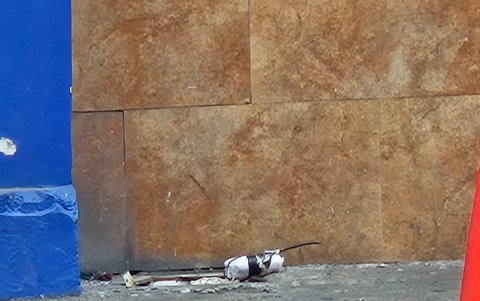 El explosivo se colocó a tres cuadras del sitio donde sesiona la Asamblea Nacional por el Bicentenario de Machala.