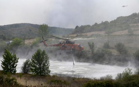 El fuego arrasó unas 30 hectáreas de Hidra y quemó una parte del único bosque de pinos de la zona.