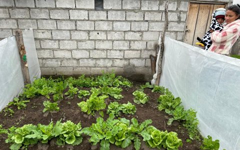 Foto.- En los sectores rurales se realizan los huertos orgánicos por parte de la Municipalidad de Latacunga.