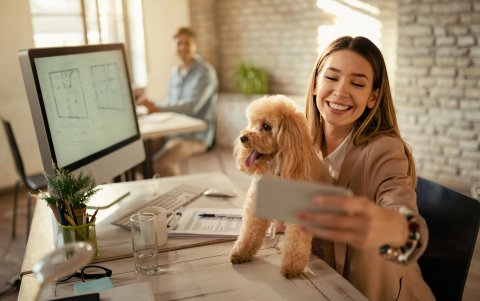 Oficina.- Una mascota en la área de trabajo de su dueña.