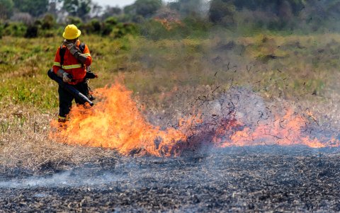 Un bombero trabaja en la extinción de incendios en la región del Pantanal (Brasil).