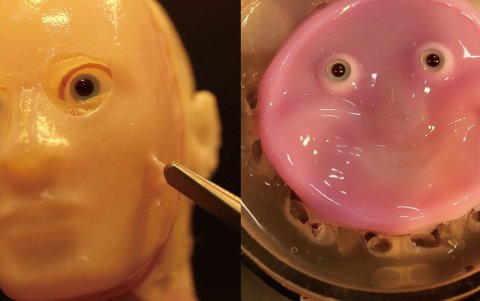 Combo de fotos cedidas por el profesor Shoji Takeuchi, del Instituto de Ciencia Industrial de la Universidad de Tokio, del robot facial con piel 'viva' hecha con células humanas.