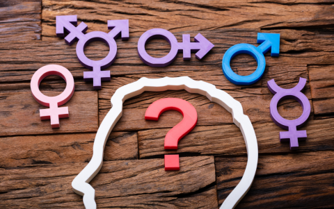 No es lo mismo género que sexo, existe una diferencia entre ambos.