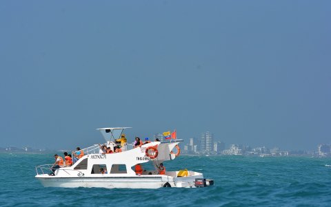 Las embarcaciones para dar los paseos y ver a los cetáceos han sido certificadas por las autoridades maritimas locales.