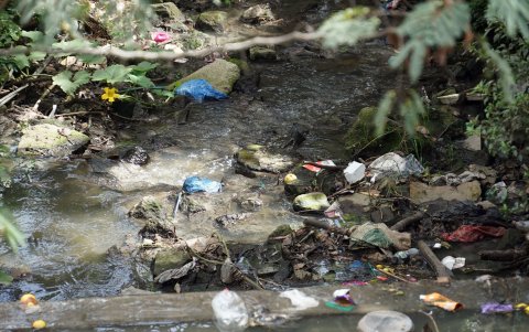Basura y aguas servidas son parte de la quebrada El Payaso, en Tumbaco.