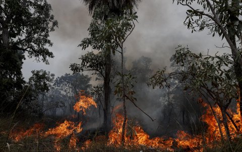 Fotografía de un incendio este domingo 30 de junio en Pantanal (Brasil).