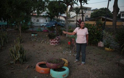 Lharitzha Granja comenzó a sembrar diversas especies de plantas en un área del parque central.