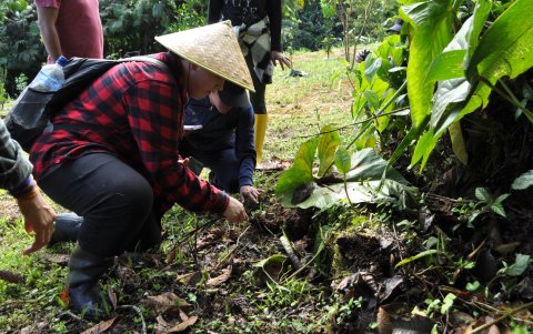 En las zonas aledañas al río se analiza el suelo y las especies que en ella crecen para preservarlas.