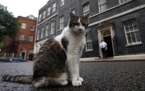 Larry estuvo en Downing Street durante el mandato de cinco primeros ministros conservadores y, si las encuestas aciertan, recibirá a un primer ministro laborista.