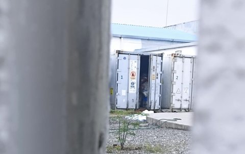 Apertura. El 12 de junio, a los 22 días de que el contenedor no refrigeraba, la puerta fue abierta. Los gases tóxicos salieron. También se observa en qué condiciones custodia los cadáveres la entidad.