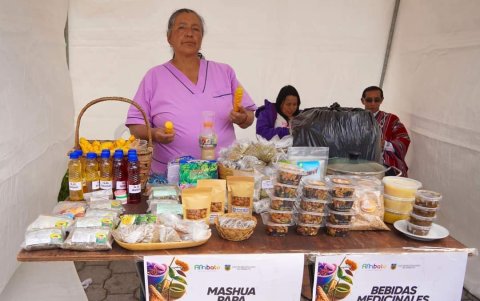 Los peoductos que da el campo son utilizados para exponer en esta feria en Ambato.