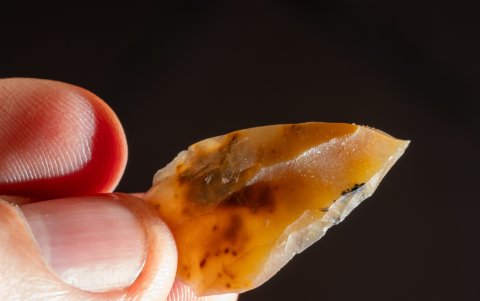 Los científicos han encontrado pruebas de asentamientos de los primeros humanos .