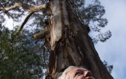 Fotografía de Julian Assange con su mujer, Stella, tras conseguir la libertad.