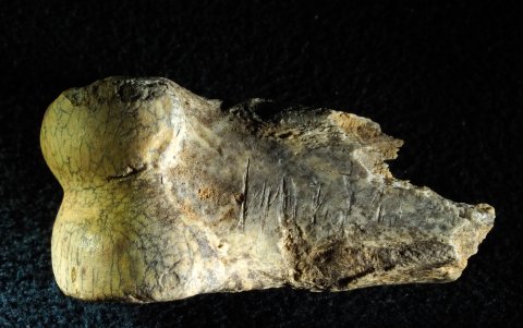 Hasta ahora no se había registrado ni una sola evidencia científica de presencia humana desde que los neandertales migraran a la costa -hace unos 42.000 años