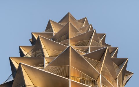 La estampa de unas de las plantas más emblemáticas de los desiertos áridos y calurosos a una ciudad del norte de Europa.