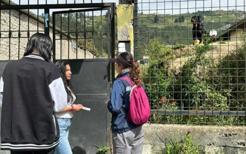 La persona censada debe brindar información veraz y completa sobre el número de animales de compañía que viven en su hogar